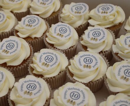 Celebration cupcakes